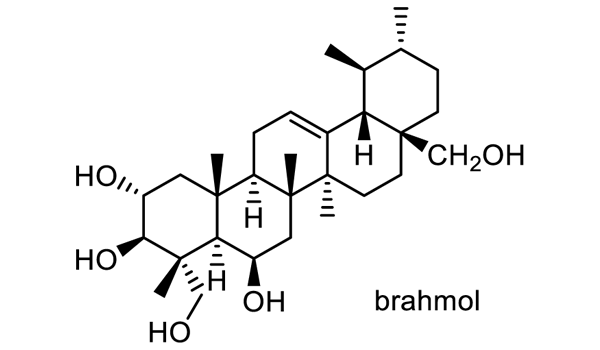 ツボクサ 化学構造式3