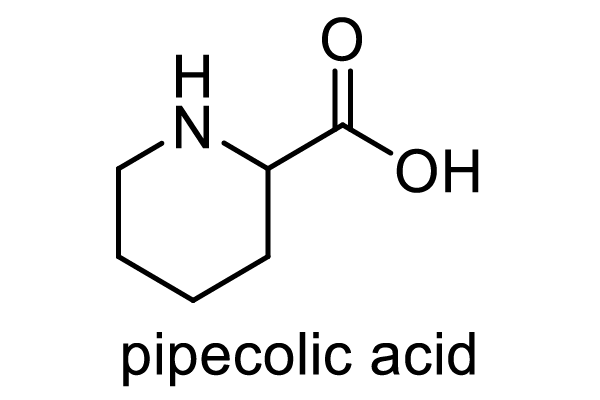 ソラマメ 化学構造式2