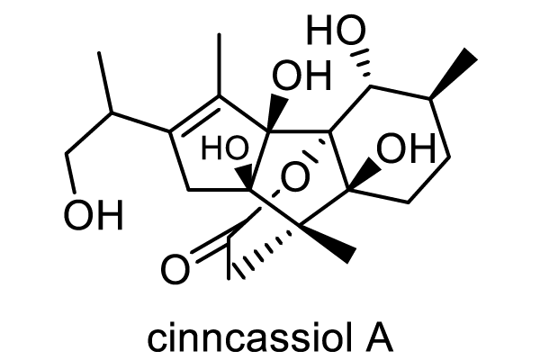 シナニッケイ 化学構造式2