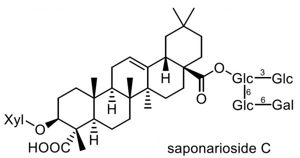 サボンソウ 化学構造式2