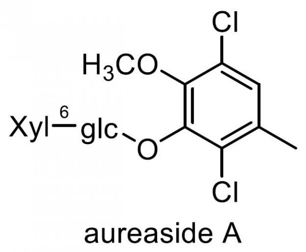 コキンバイザサ 化学構造式1