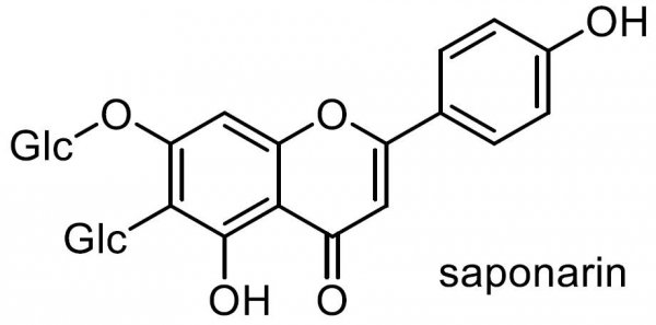 サボンソウ 化学構造式3