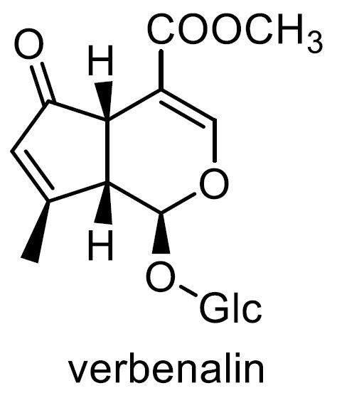 クマツヅラ 化学構造式2