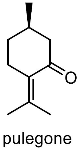 ペニーロイヤルミント 化学構造式2