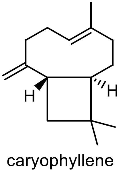 ホースミント 化学構造式3