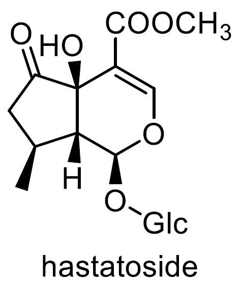 クマツヅラ 化学構造式3