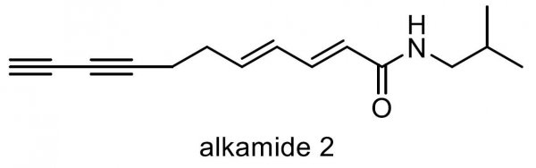 ムラサキバレンギク 化学構造式3