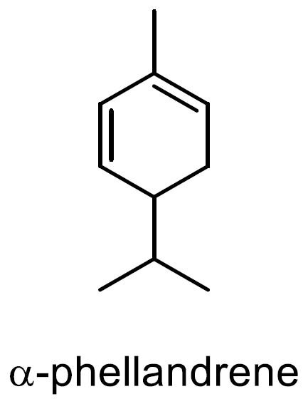 ロンギコーリスタイム 化学構造式1