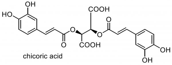 ムラサキバレンギク 化学構造式1