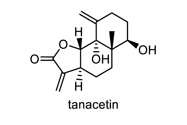 タンジー 化学構造式1